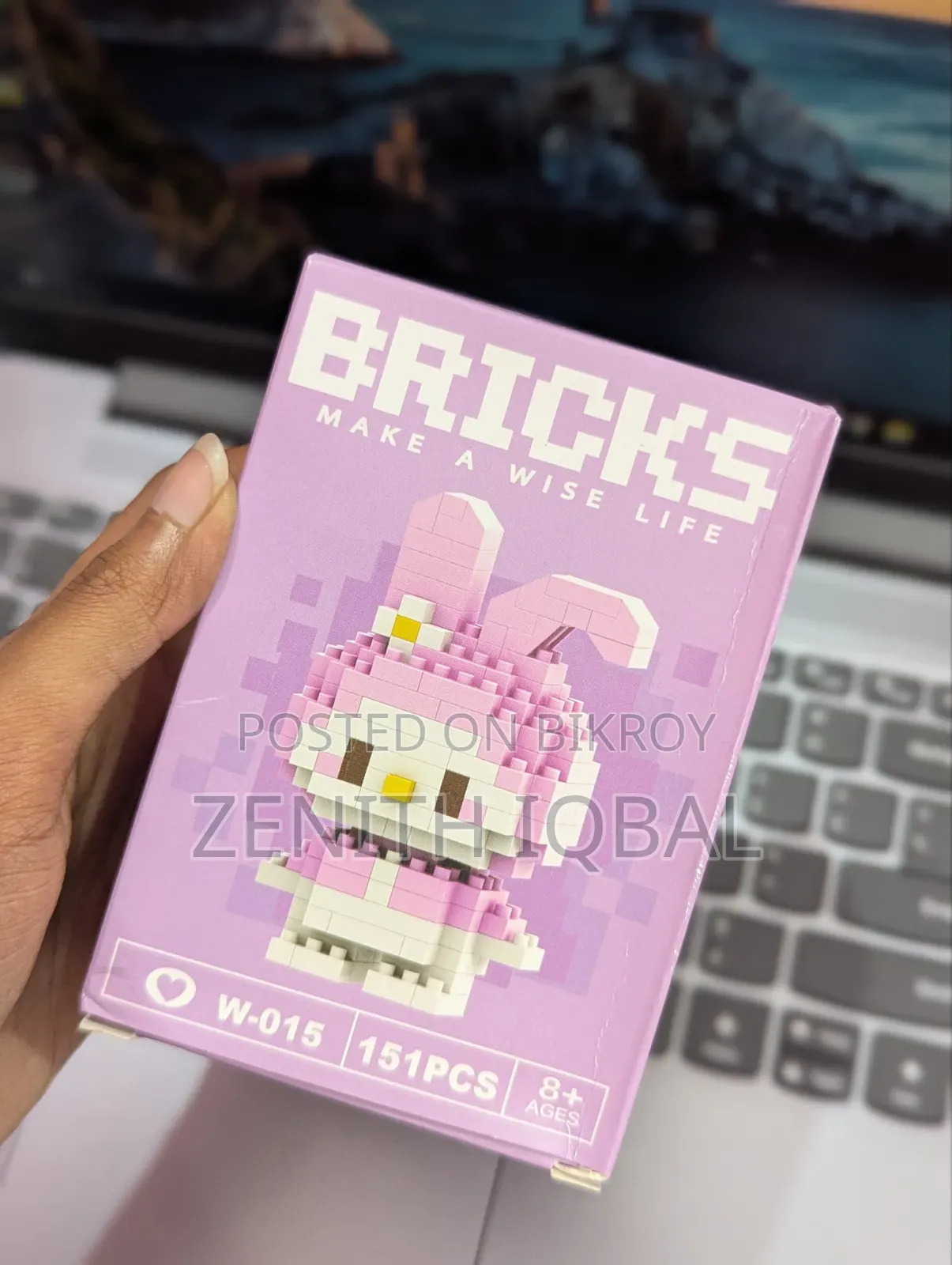Bricks (Make a Wise Life)