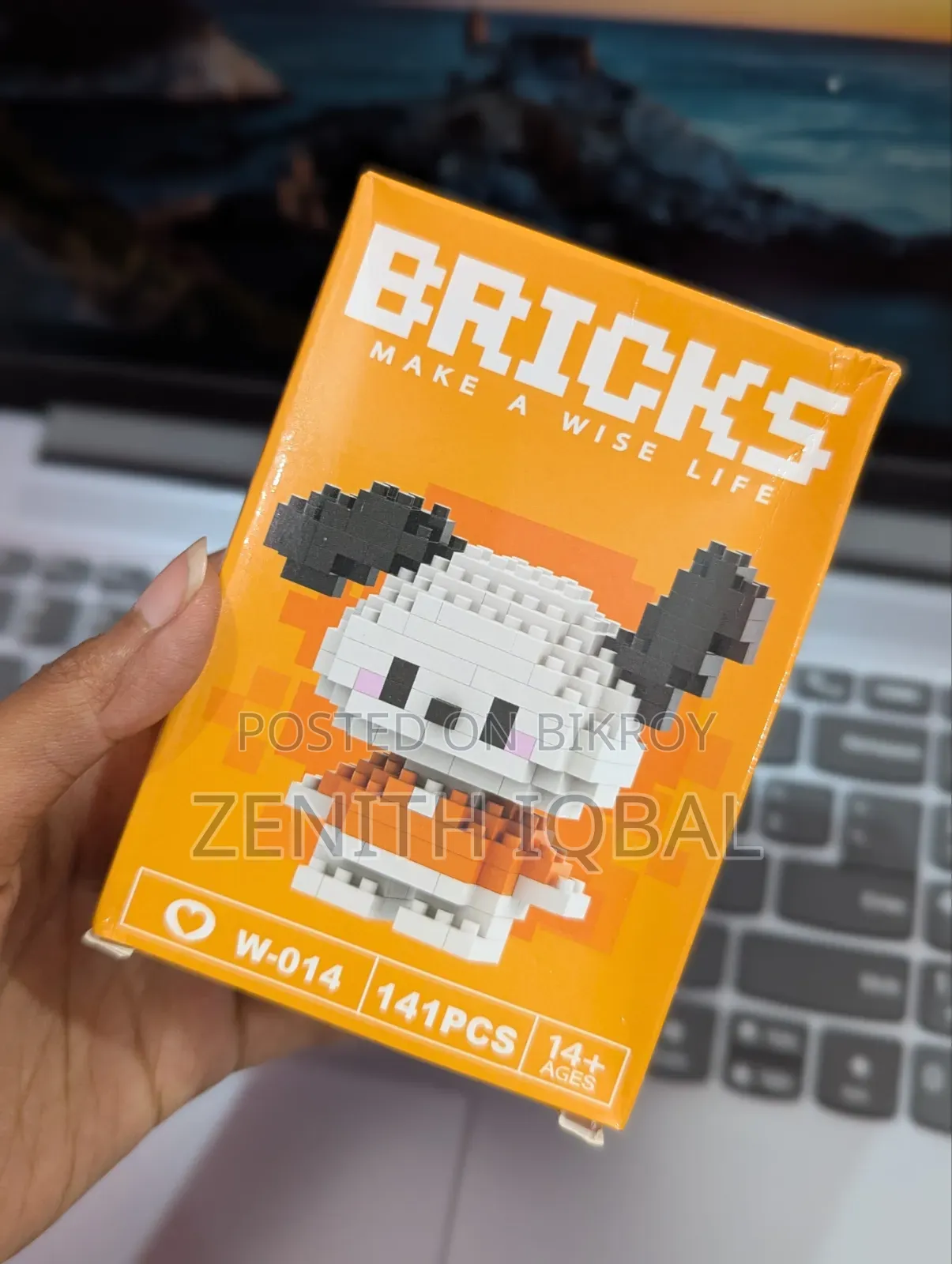 Bricks (Make a Wise Life)