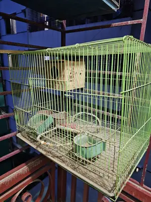 Birds Cage (Quantity 3)
