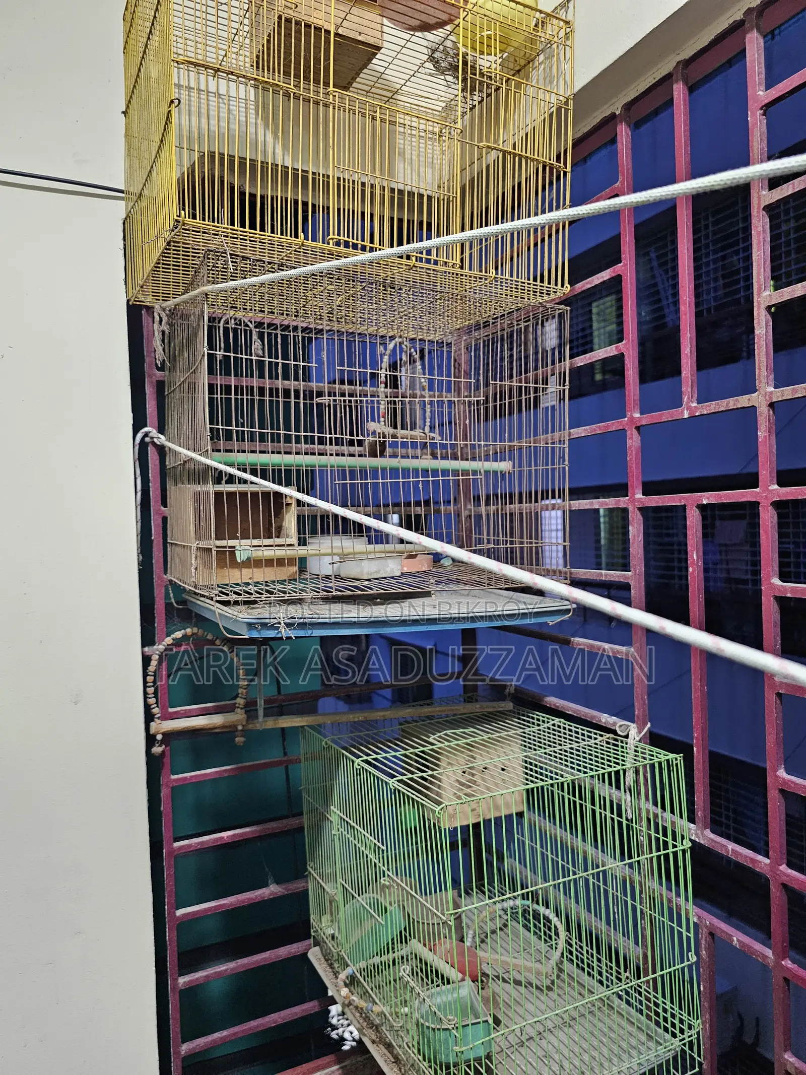 Birds Cage (Quantity 3)