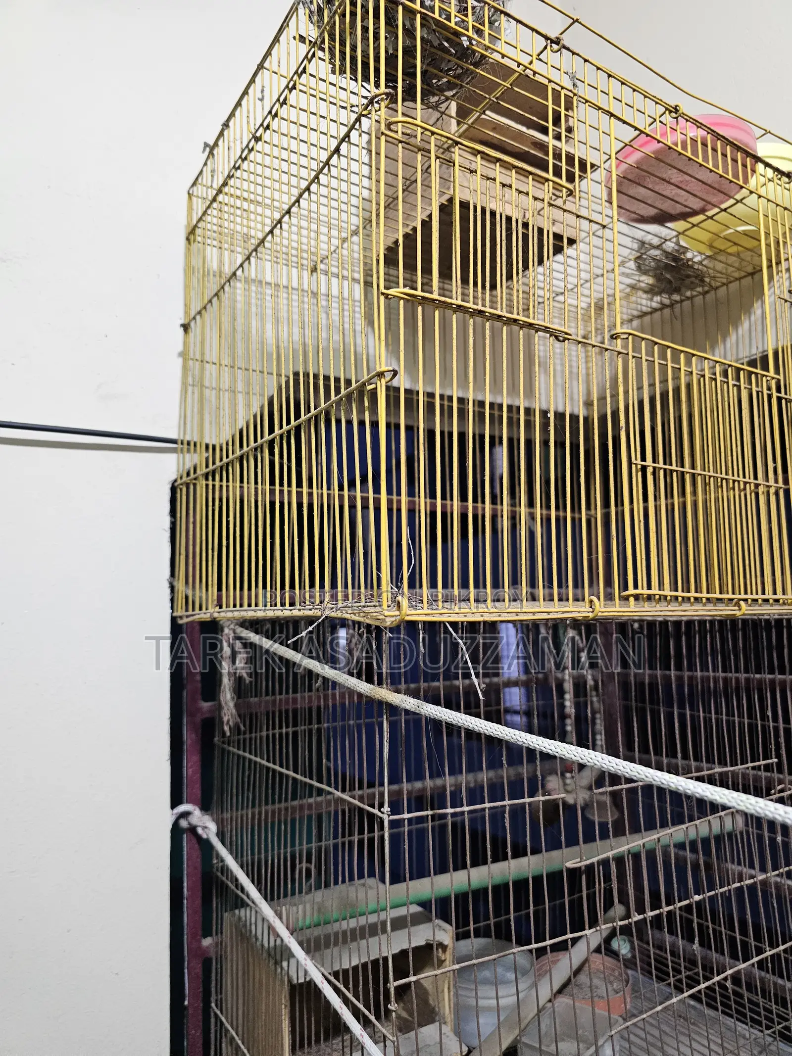 Birds Cage (Quantity 3)