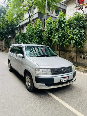 Toyota Probox 2010 Silver