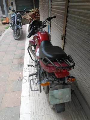 Runner Cheeta 100 2018 Red
