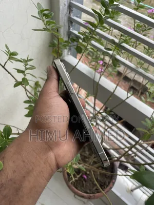 অ্যাপল আইফোন ১২ প্রো ম্যাক্স ২৫৬ জিবি হোয়াইট