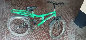 নাইলস বাইসাইকেল