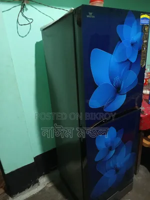 A Refrigerator for Sale