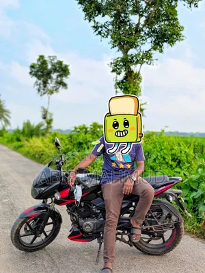 Bajaj Pulsar 150 2019 Red