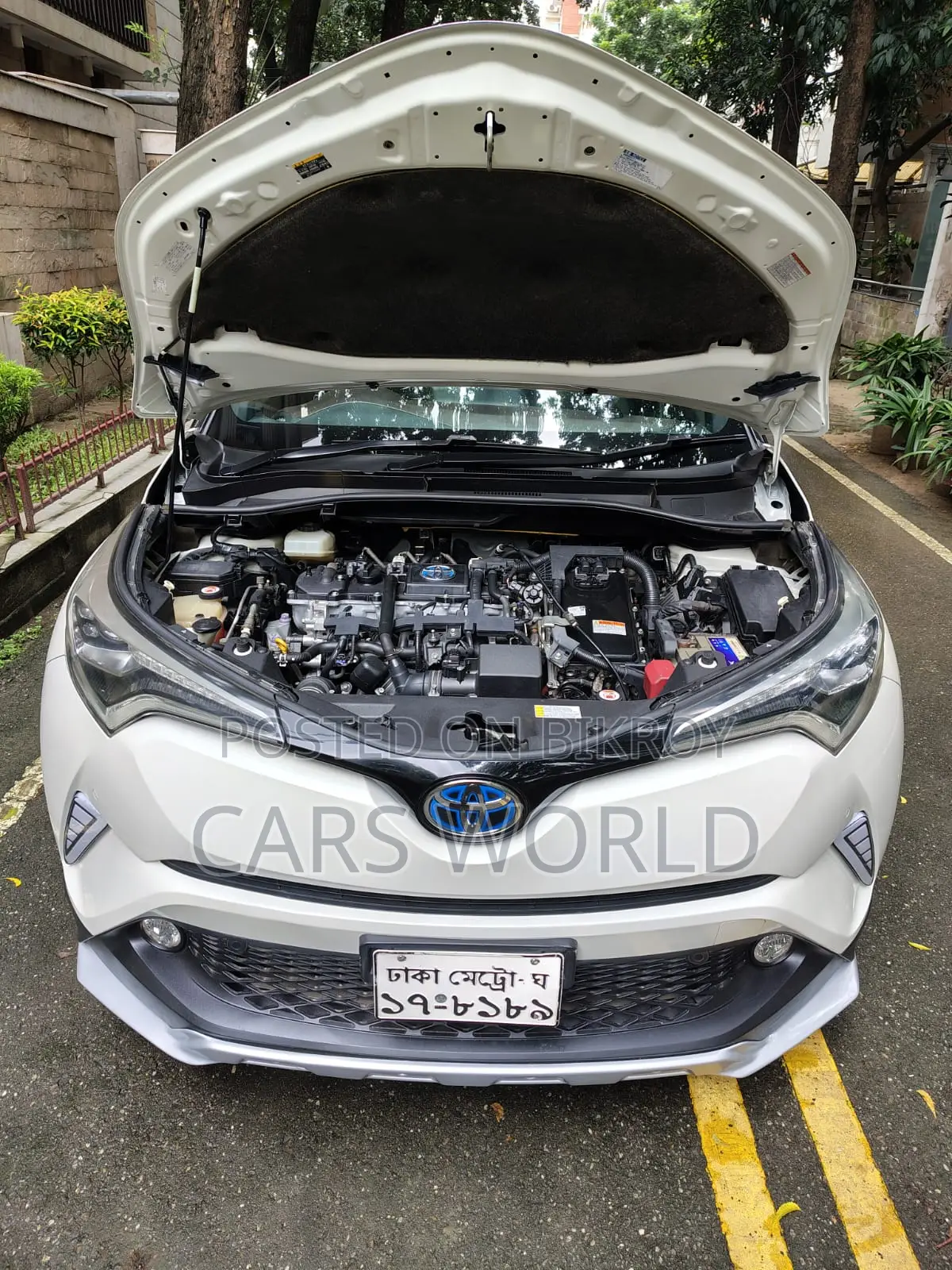 Toyota C-HR 2017 Pearl