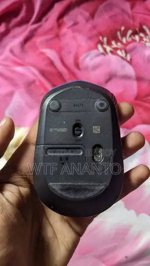 ডাব্লুটিএফ অনন্ত