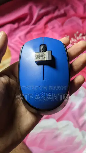 ডাব্লুটিএফ অনন্ত