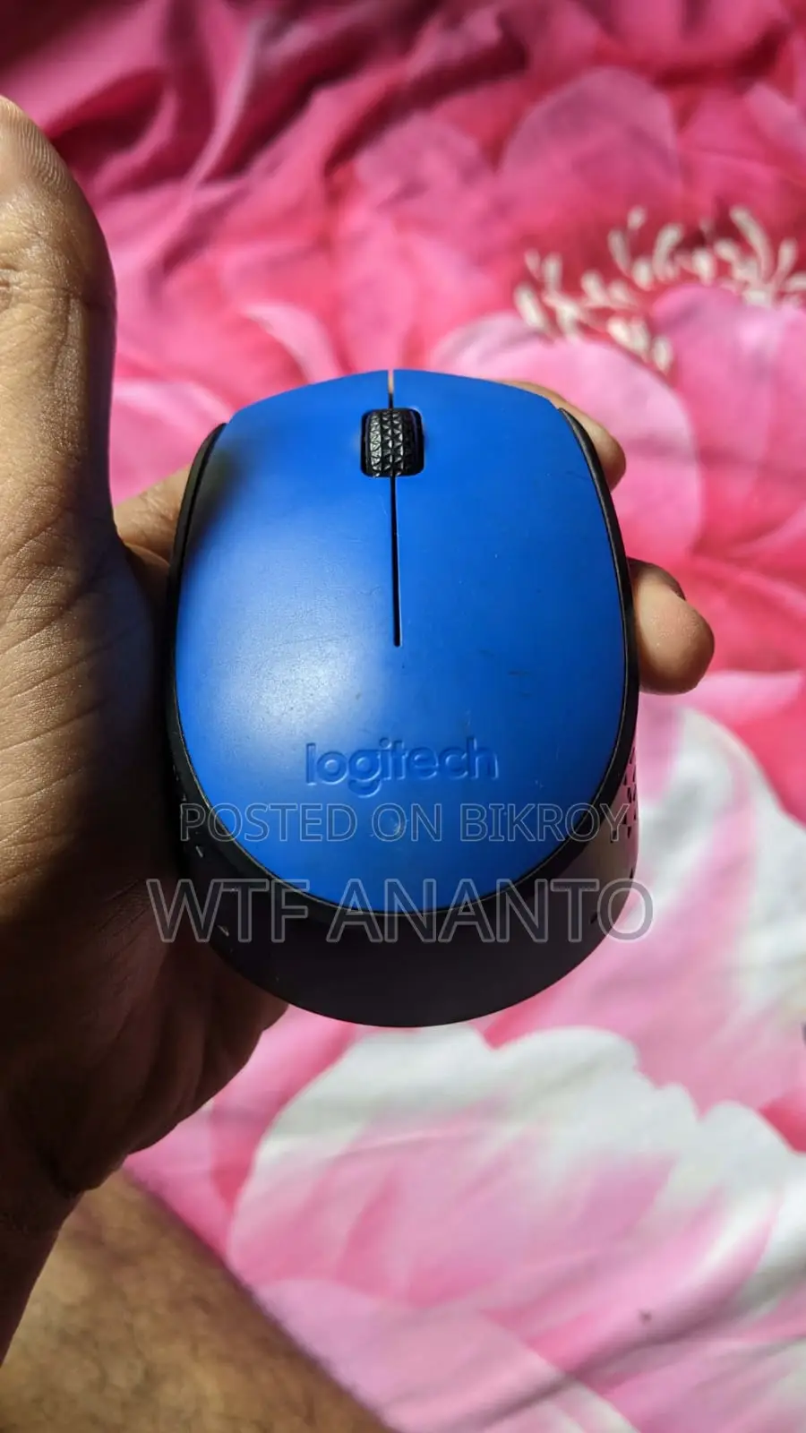 ডাব্লুটিএফ অনন্ত