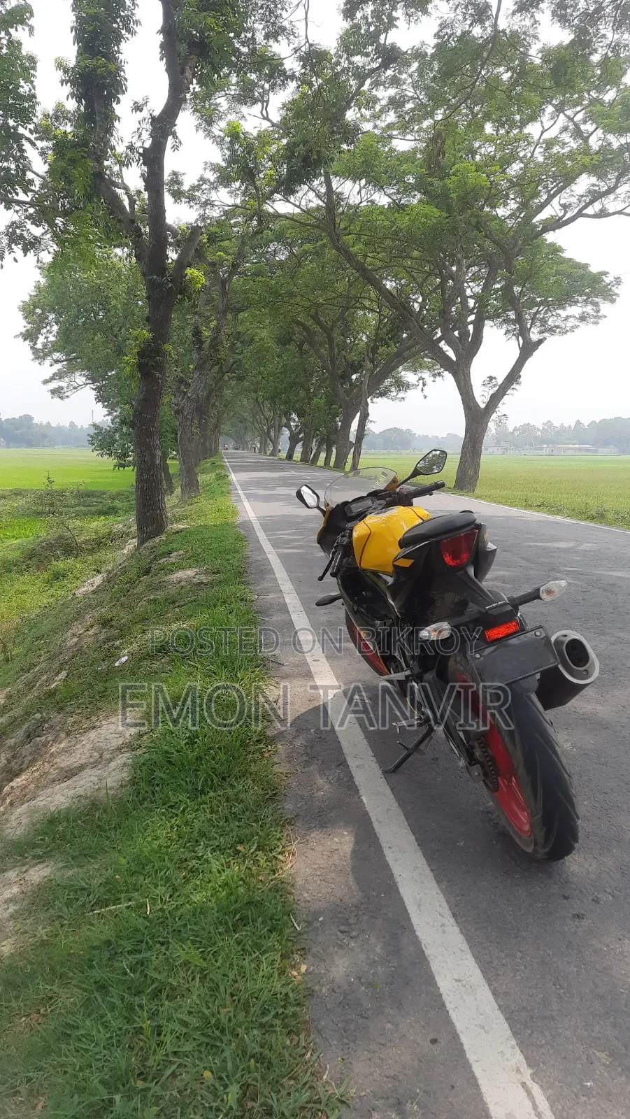 সুজুকি জিএসএক্স-আর১৫০ ২০২২ হলুদ