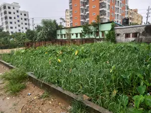 Land and Plot for Sale