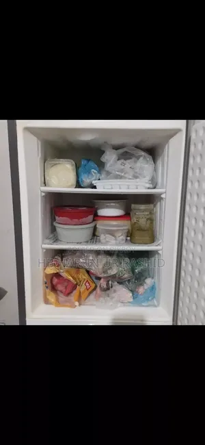Walton Fridge With Stabilizer