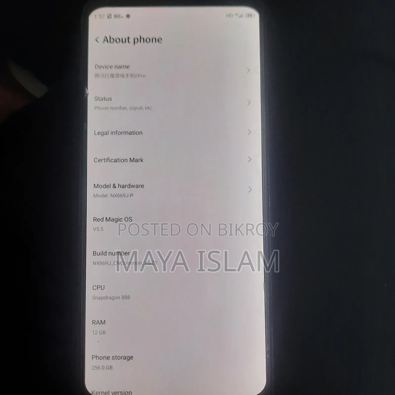 মোবাইল ফোন ২৫৬ জিবি সিলভার