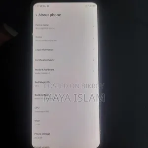 মোবাইল ফোন ২৫৬ জিবি সিলভার