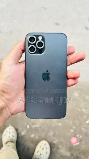 অ্যাপল আইফোন ১২ প্রো ২৫৬ জিবি গ্রে