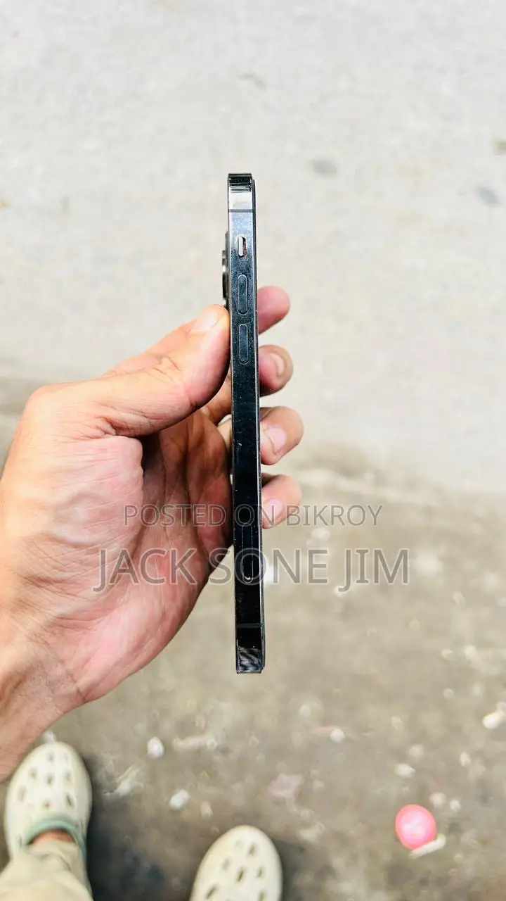 অ্যাপল আইফোন ১২ প্রো ২৫৬ জিবি গ্রে