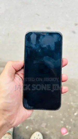 অ্যাপল আইফোন ১২ প্রো ২৫৬ জিবি গ্রে