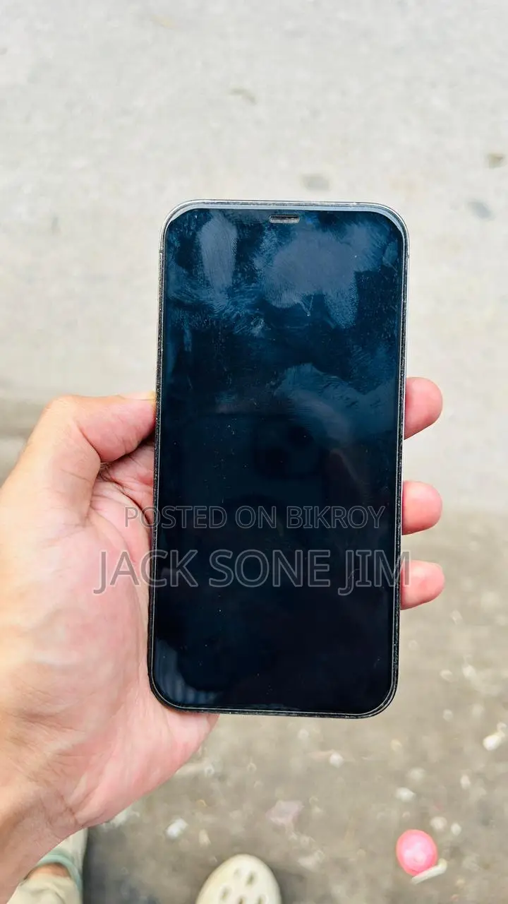 অ্যাপল আইফোন ১২ প্রো ২৫৬ জিবি গ্রে
