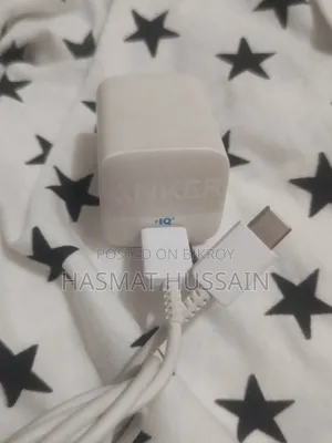 Smart Fast Charger