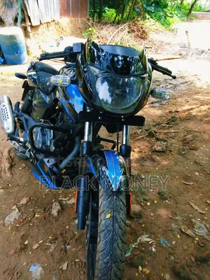 Bajaj Pulsar 150 2021 Blue