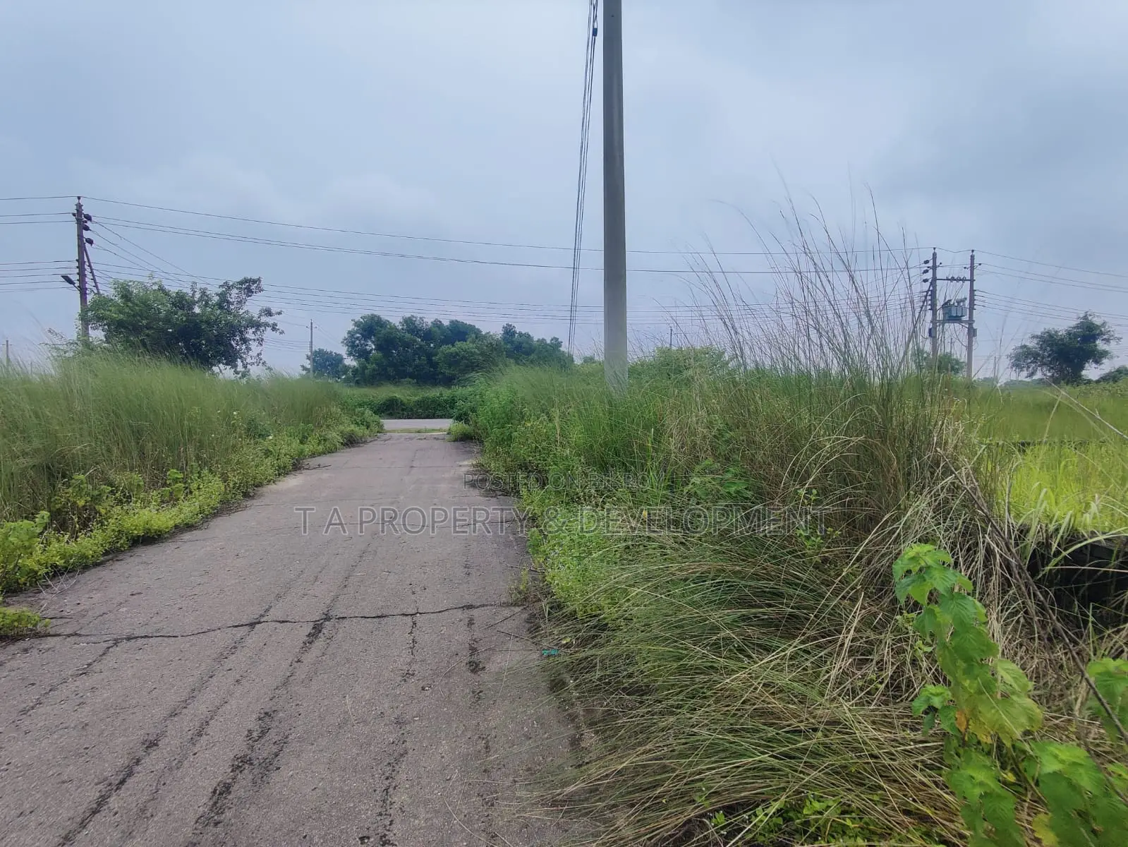 3 Katha North Facing Plot Sell