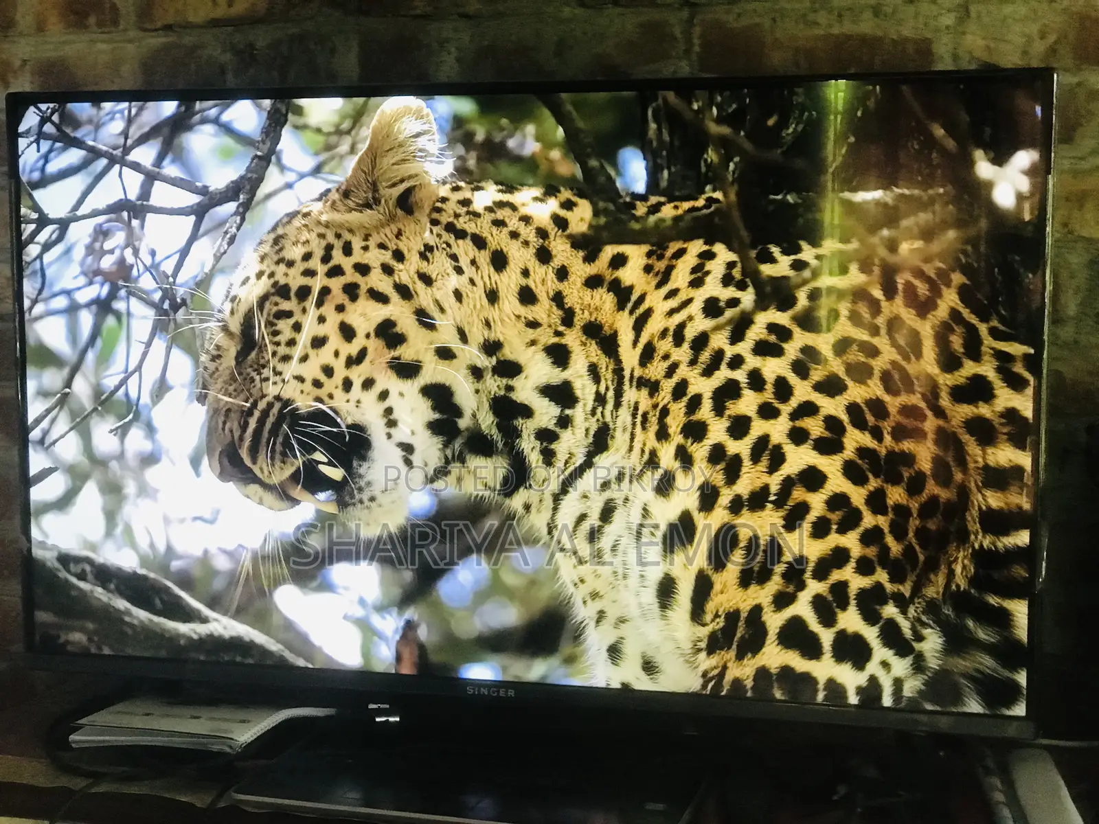 Singer Sle43gp5000tv 43" FHD Android Google TV