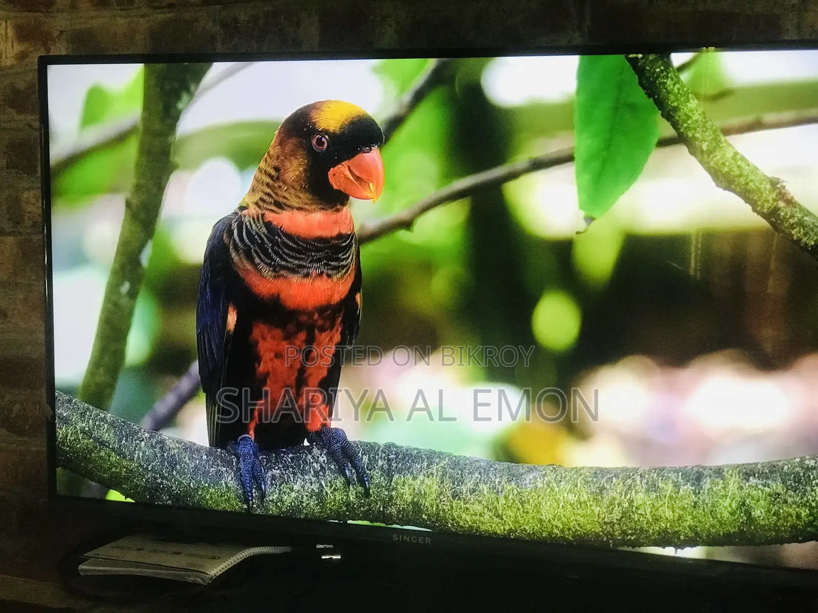 Singer Sle43gp5000tv 43" FHD Android Google TV