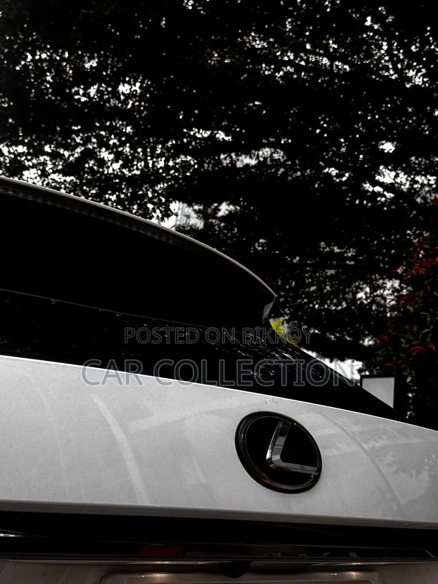Lexus RX 300 Two-Wheel Drive 2020 Pearl
