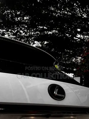Lexus RX 300 Two-Wheel Drive 2020 Pearl