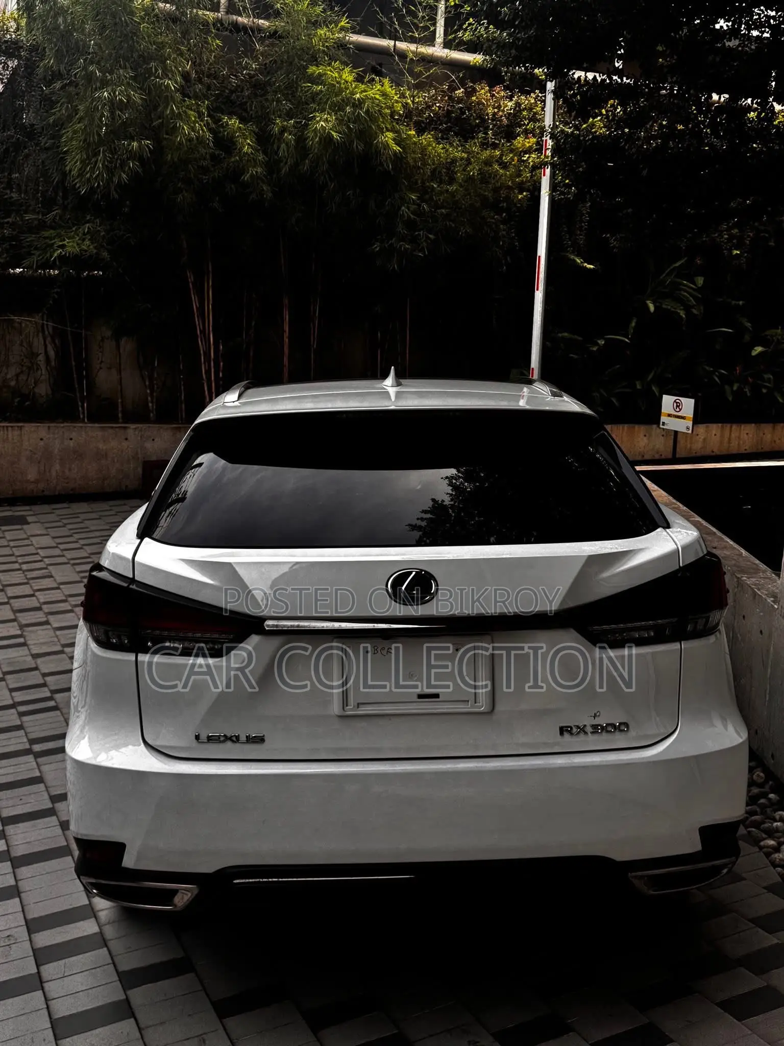 Lexus RX 300 Two-Wheel Drive 2020 Pearl