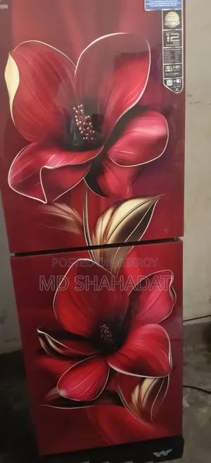 Need money for fridge, Urgent sale