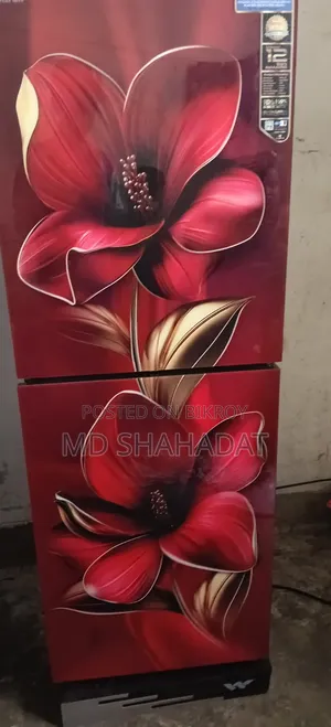 Need money for fridge, Urgent sale