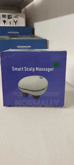 Head Scalp Massager