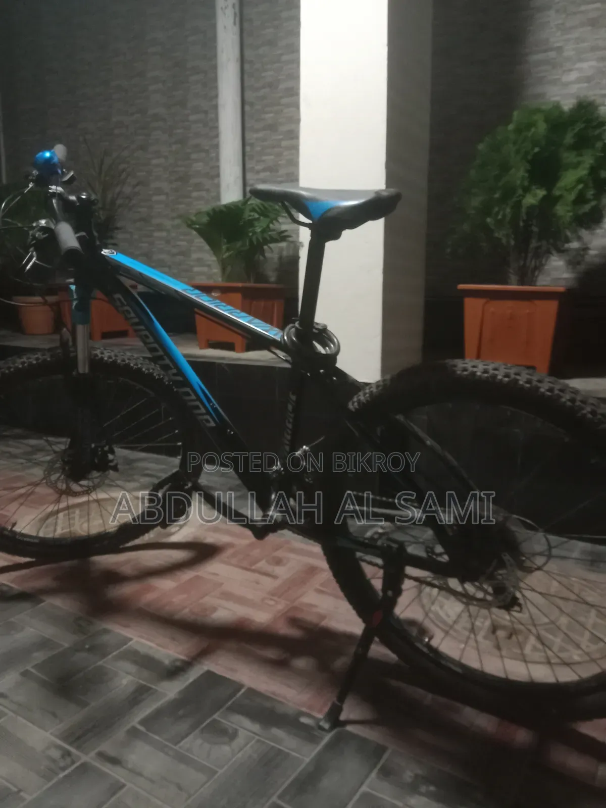 Bicycle for Sale.