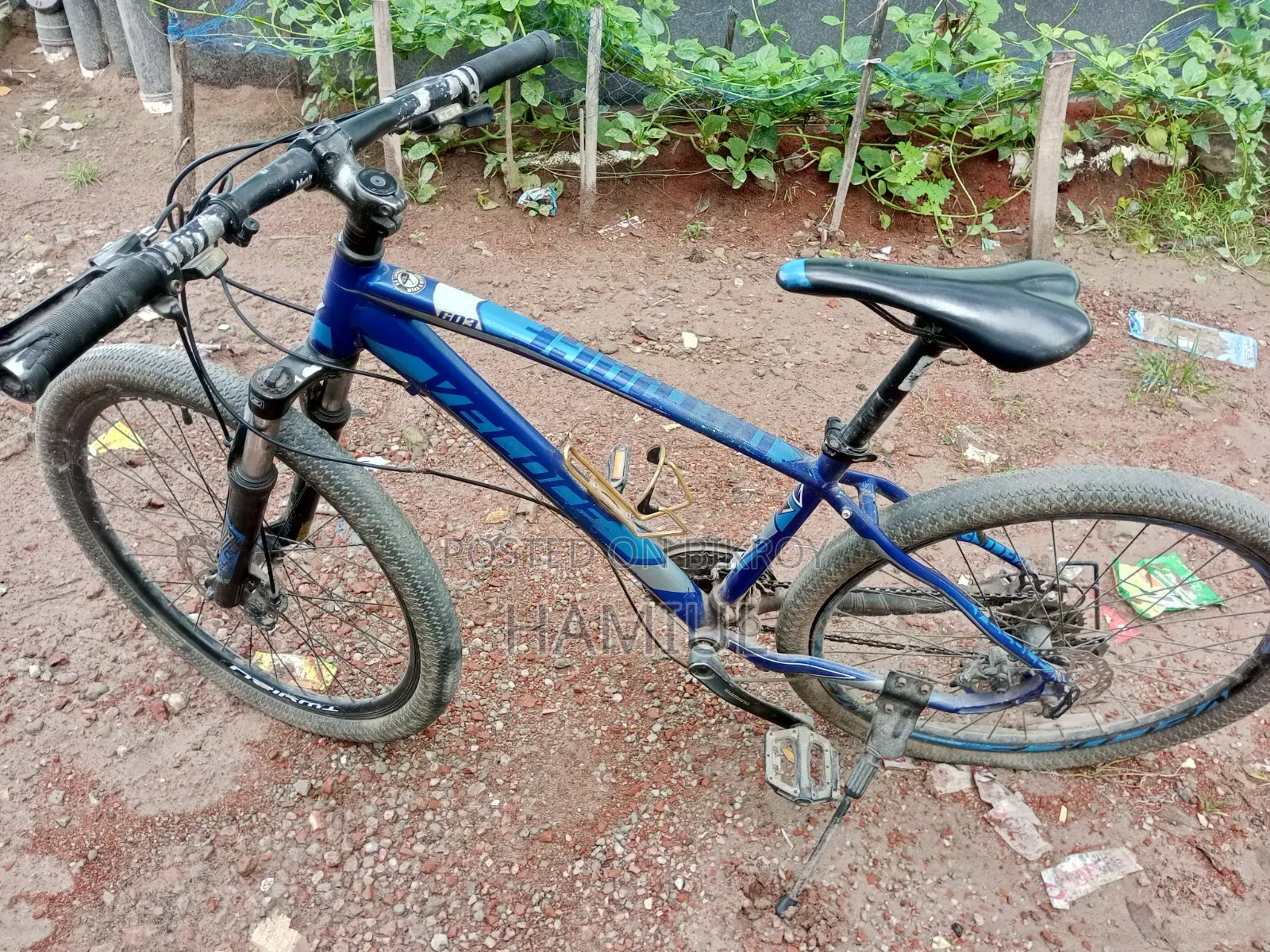 ভেলোসে আউটরেজ ৬০৩