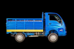 Tata Ace Ex2