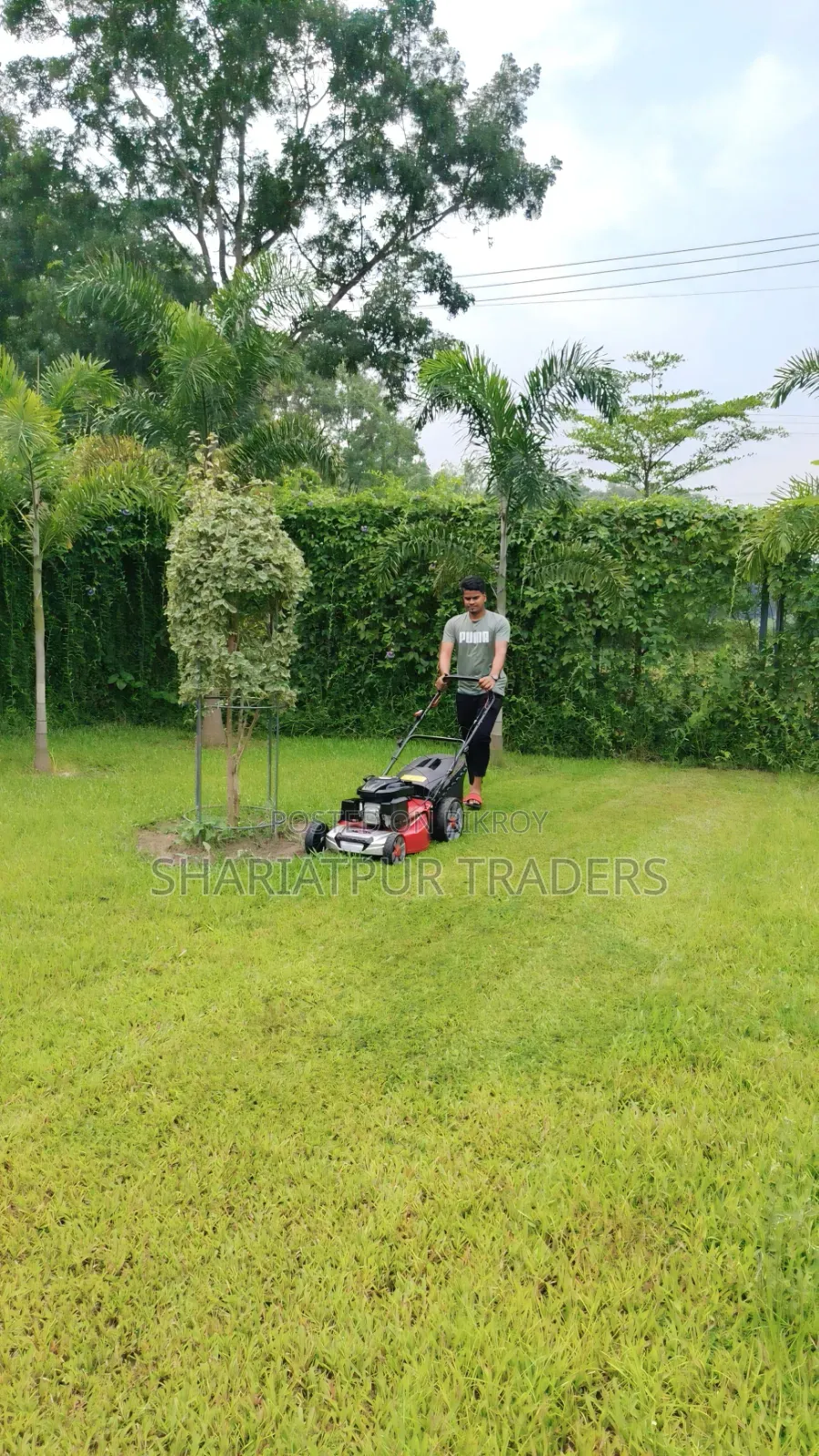 Petrol Lawn Mower