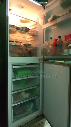 Jamuna 328L Refrigerator for Sale