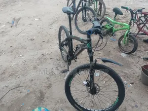 Riding Bicycle