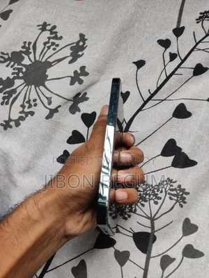অ্যাপল আইফোন ১৩ প্রো ২৫৬ জিবি গ্রিন