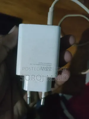 Redmi 33 Watt Original Charger