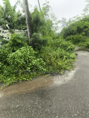 100 Ft 54ft Corner 5 Katha Plot Urgent Sale in Sector:25,Purbachal.