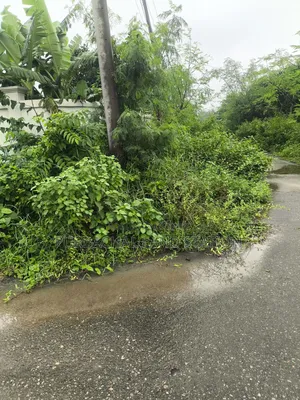 100 Ft 54ft Corner 5 Katha Plot Urgent Sale in Sector:25,Purbachal.