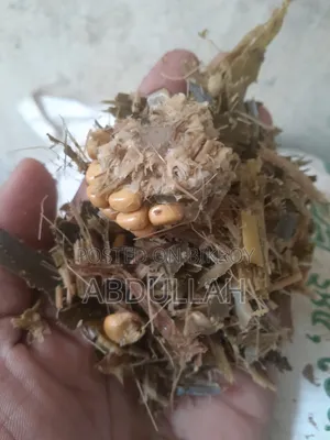 এসি আই সাইলেজ ব্যবহারে আপনার খামারের খরচ ৫০% কমান।