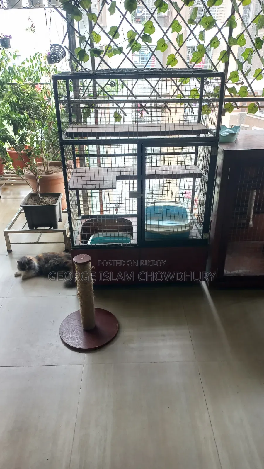 Specialised Cat Cage