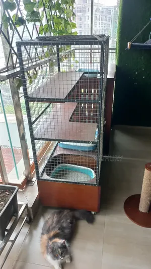Specialised Cat Cage