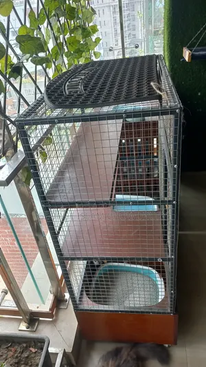 Specialised Cat Cage