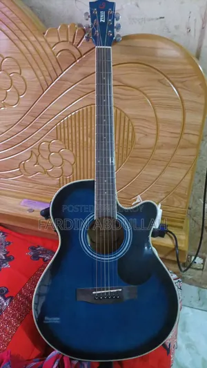 Zealux Brand Guitar for Sale
